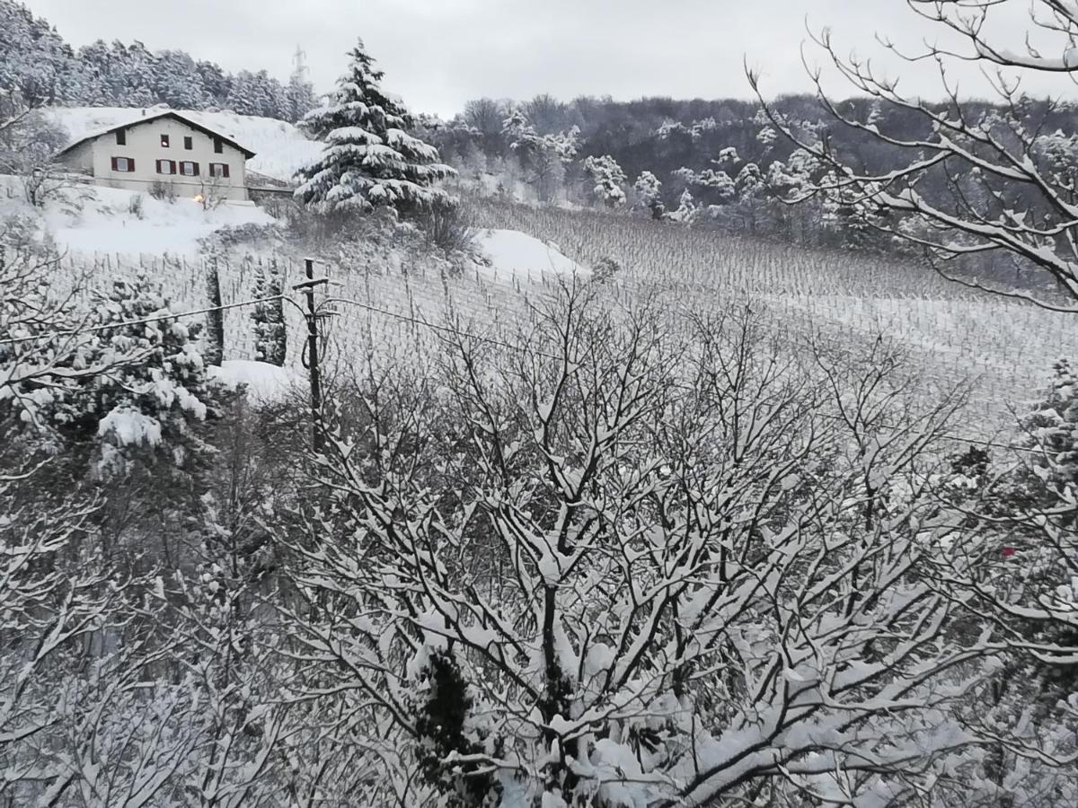 Cottage Lavanda E Rosmarino Lavis Exterior foto
