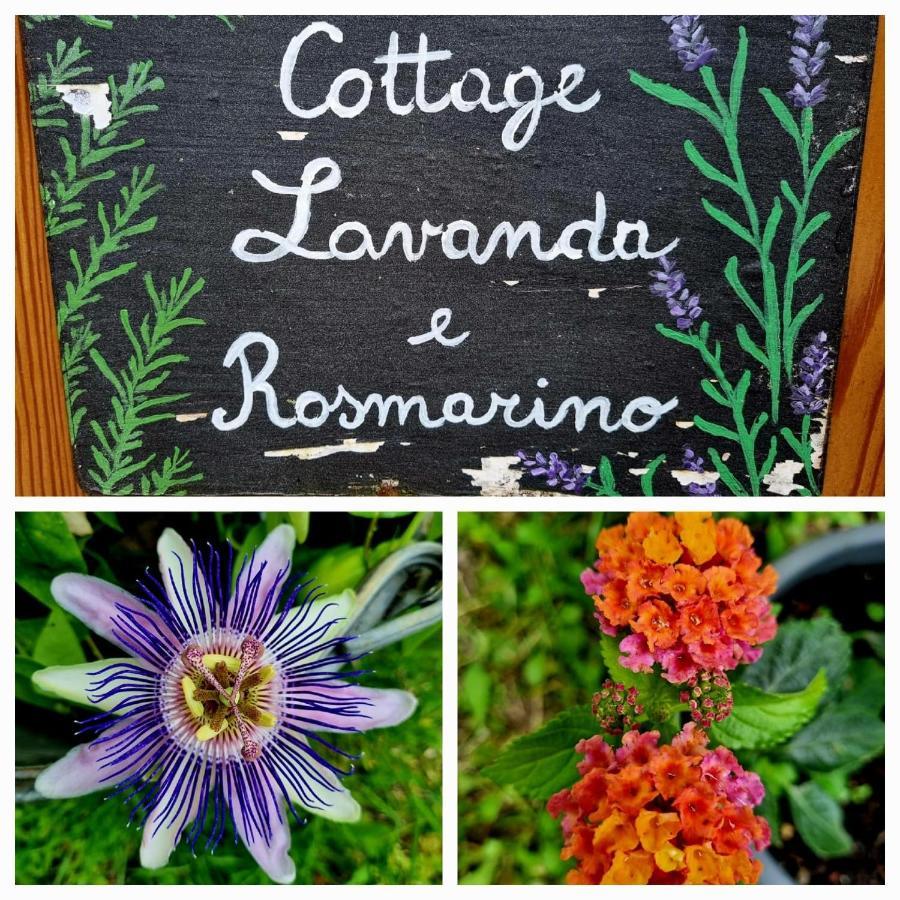 Cottage Lavanda E Rosmarino Lavis Exterior foto