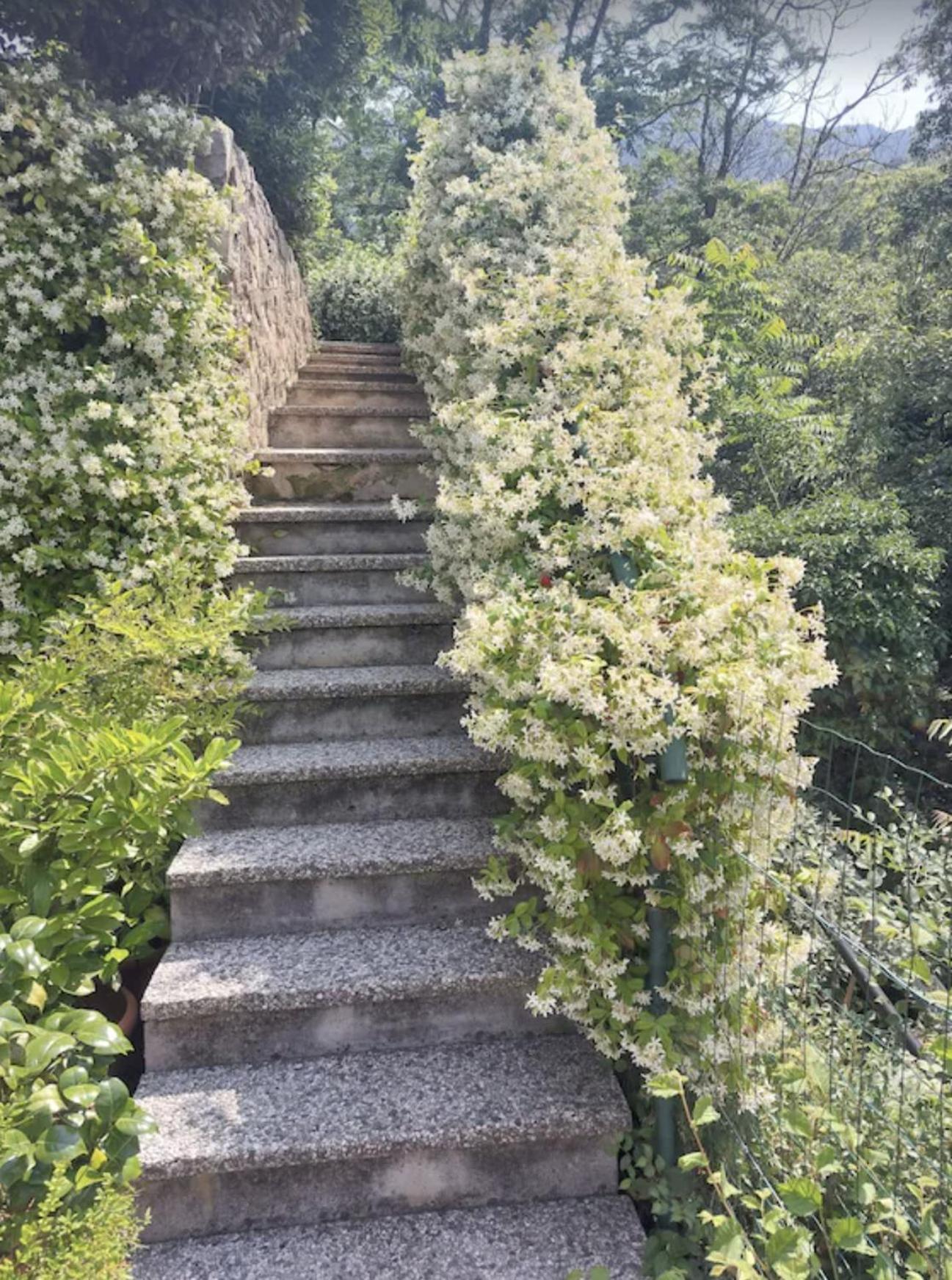 Cottage Lavanda E Rosmarino Lavis Exterior foto