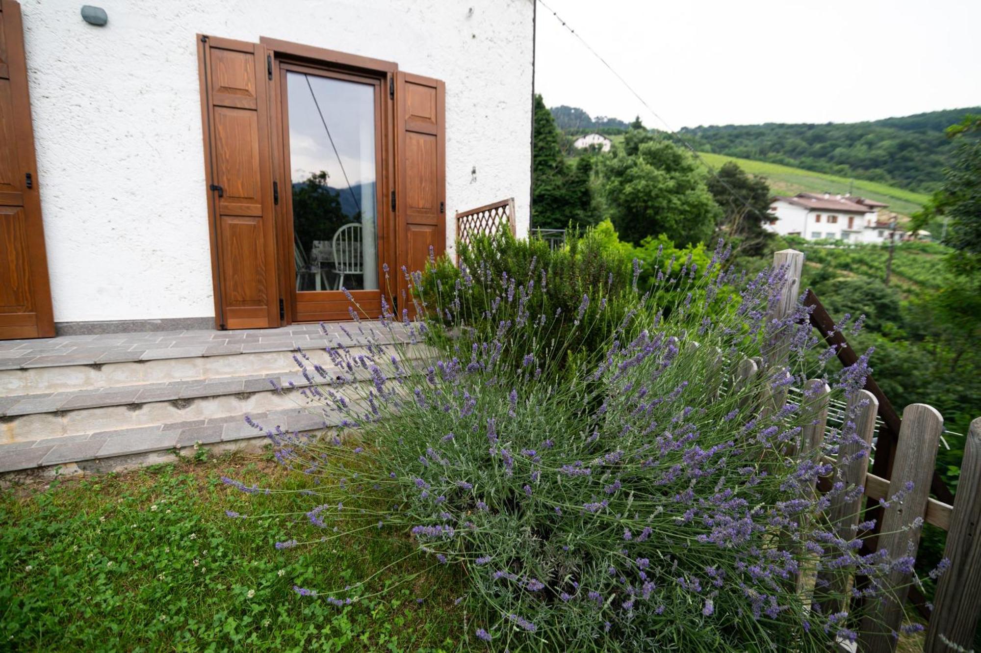 Cottage Lavanda E Rosmarino Lavis Exterior foto